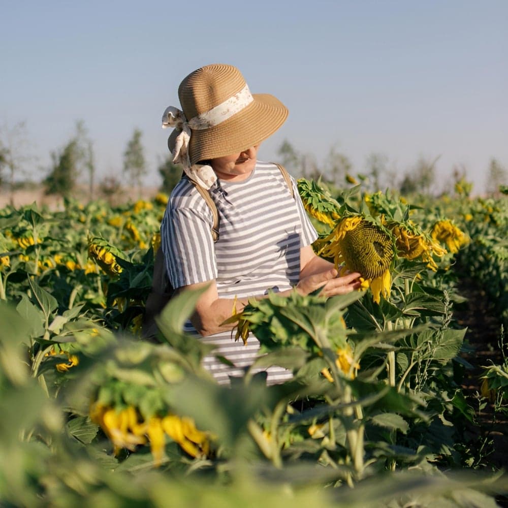 Original - Change Camera Angle