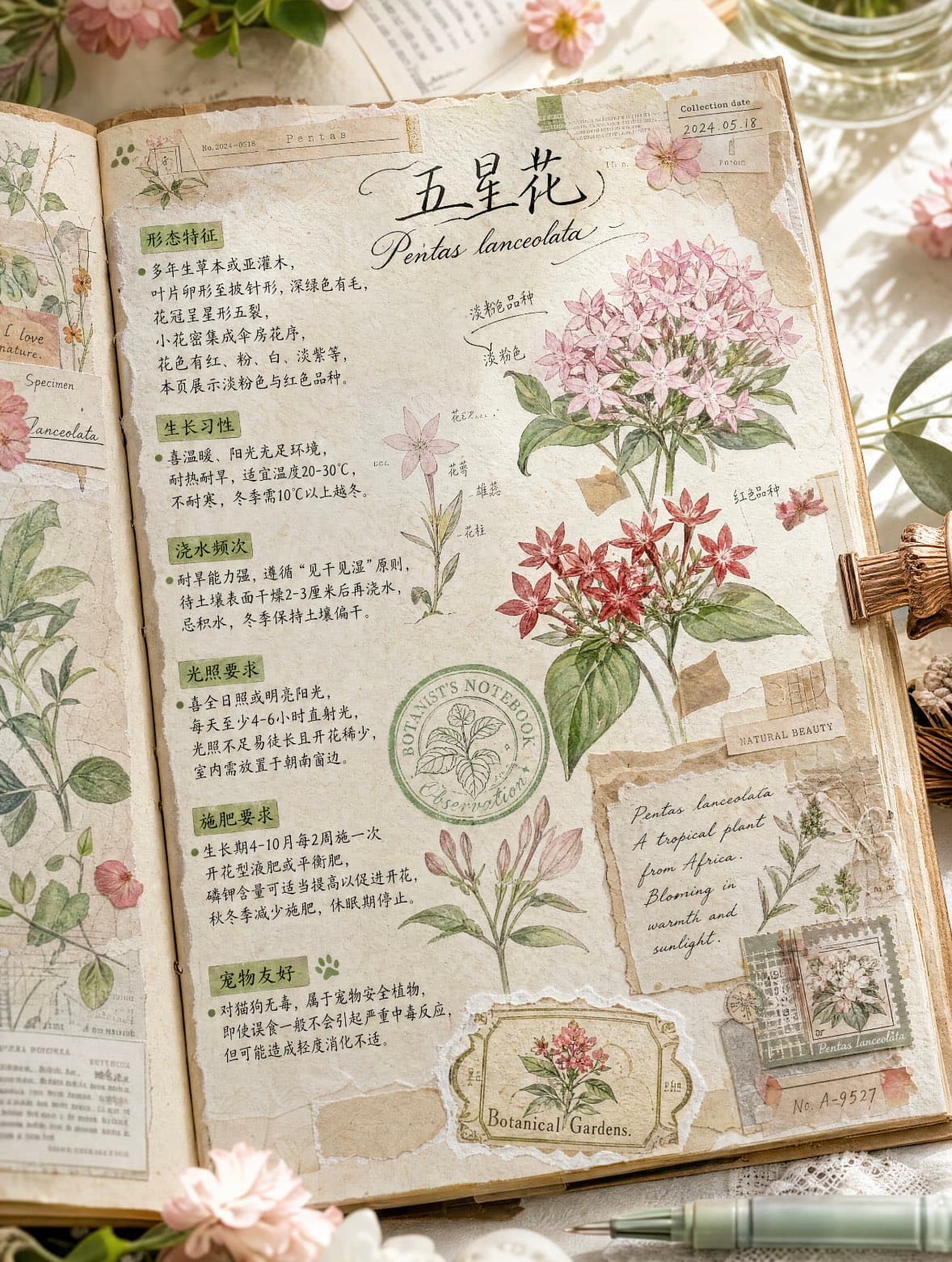 ChatGPT plant journal sticker design